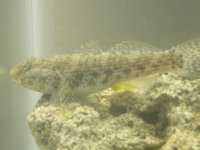 DSCN2505.jpg