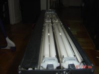 DSC00353.jpg