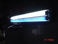 DSC00354.jpg