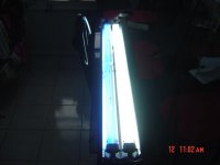 DSC00355.jpg