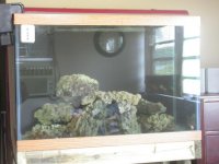 DSCN2539.jpg