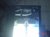 DSC00357.jpg