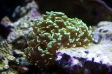 DSC_0020.JPG
