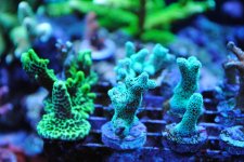 2010-7-16 011.jpg