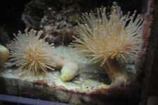2010-7-16 025.jpg