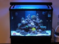 Aquarium 3.jpg