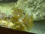 DSCN2558.jpg