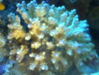 IMG00359.jpg