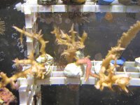 Frags2-18 004.jpg