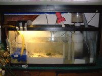 sump.JPG