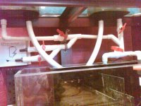 IMG00124-20100312-1400.jpg