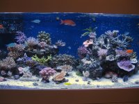 IMG_1389.jpg
