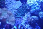 DSC_0190.jpg