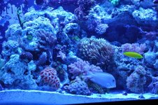 DSC_0197.jpg