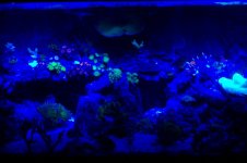 100_1442.jpg