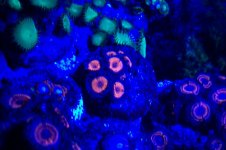 100_1443.jpg