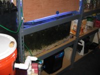 tank 004.jpg