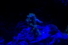 100_1461.jpg