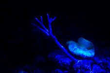 100_1462.jpg