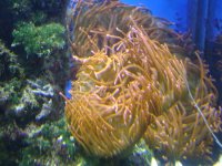 DSC01213.jpg