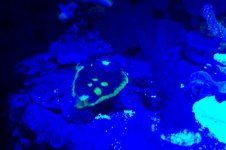 100_1470.jpg