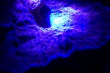 100_1472.jpg
