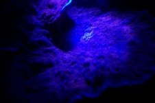 100_1473.jpg