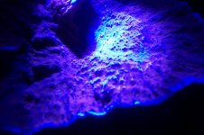 100_1474.jpg