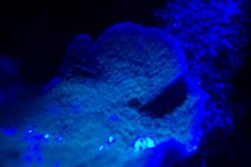 100_1475.jpg