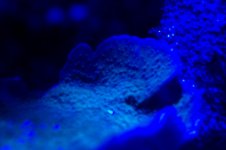 100_1476.jpg