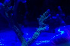100_1477.jpg