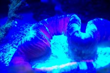 100_1478.jpg