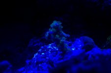 100_1479.jpg