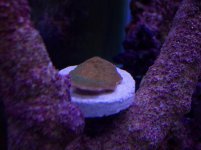 100_1080.jpg