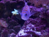 100_1081.jpg