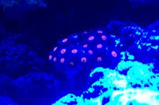 100_1481.jpg