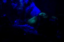 100_1484.jpg