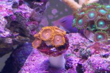 100_1106.jpg