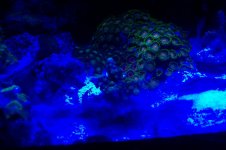 100_1486.jpg