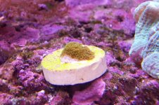 100_1107.jpg