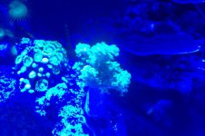 100_1487.jpg