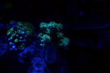 100_1488.jpg