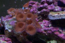 100_1111.jpg