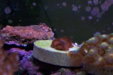100_1112.jpg