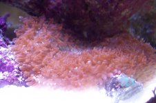 100_1117.jpg