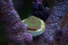 100_1119.jpg