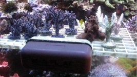frag rack resized.JPG