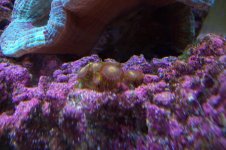 100_1121.jpg