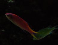 DSC_0617.JPG