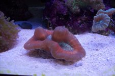 100_1123.jpg